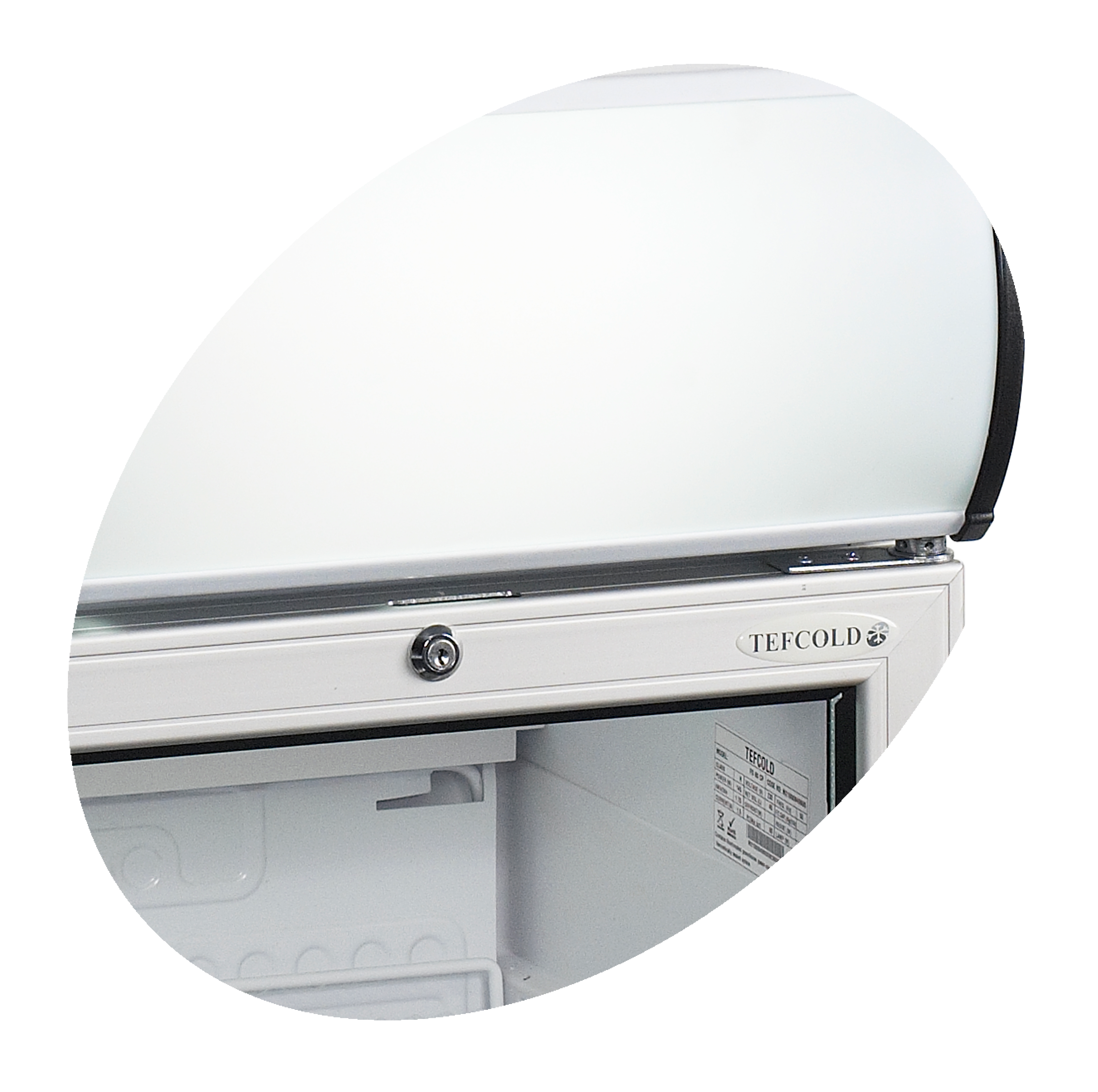 Réfrigérateur table top TEFCOLD-FS60CP