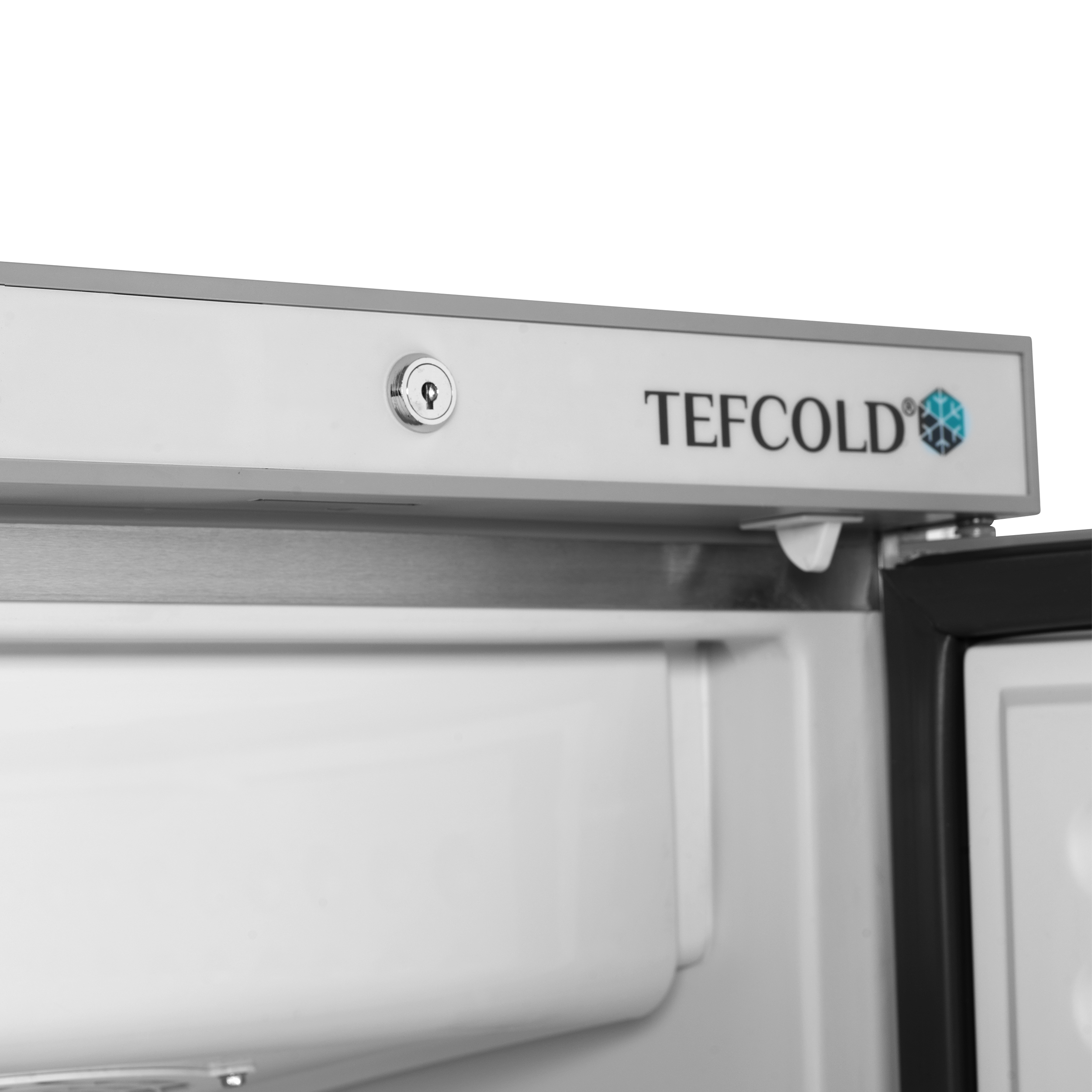 Armoire refrigérée negative  TEFCOLD-UF200S