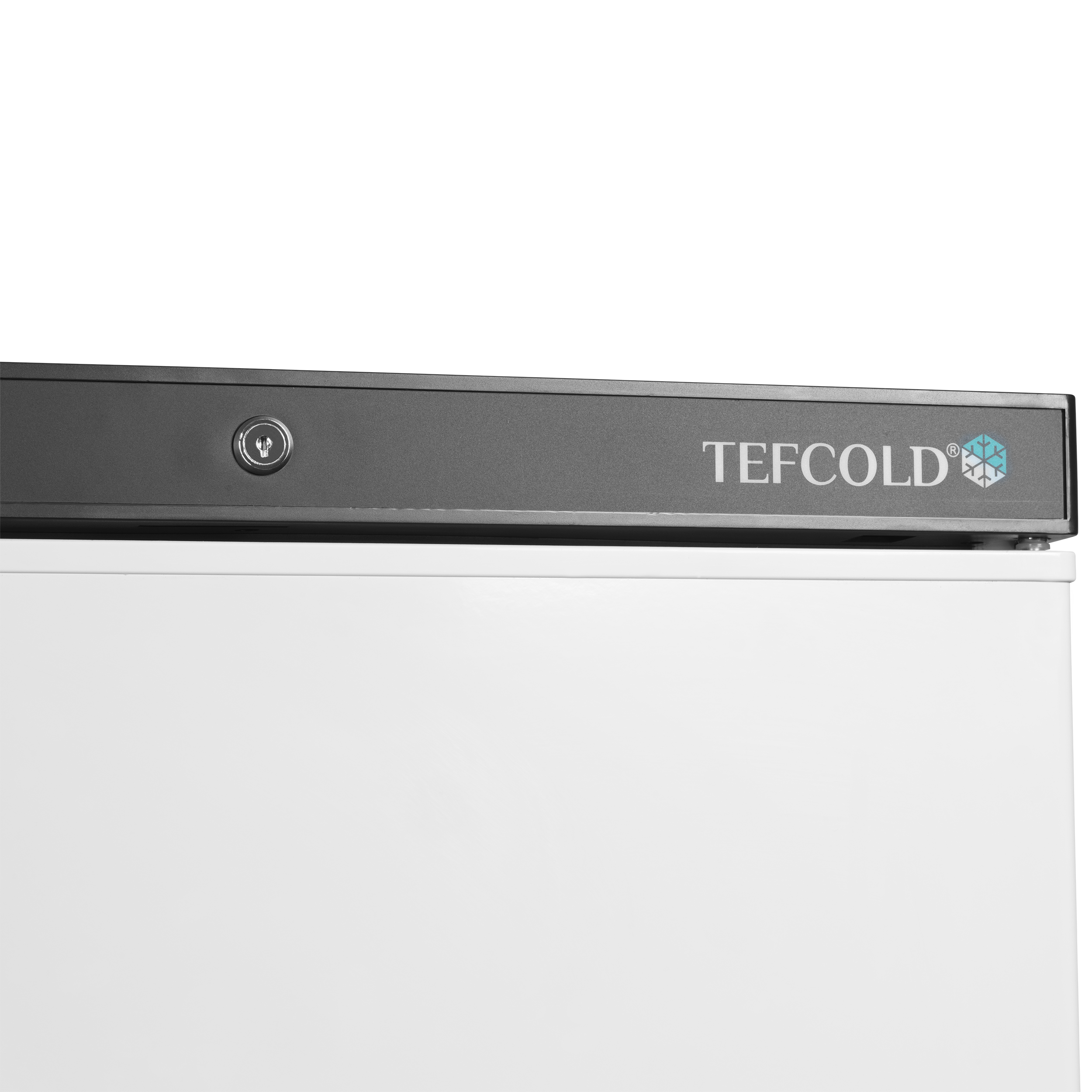 Armoire refrigérée negative  TEFCOLD-UF200V