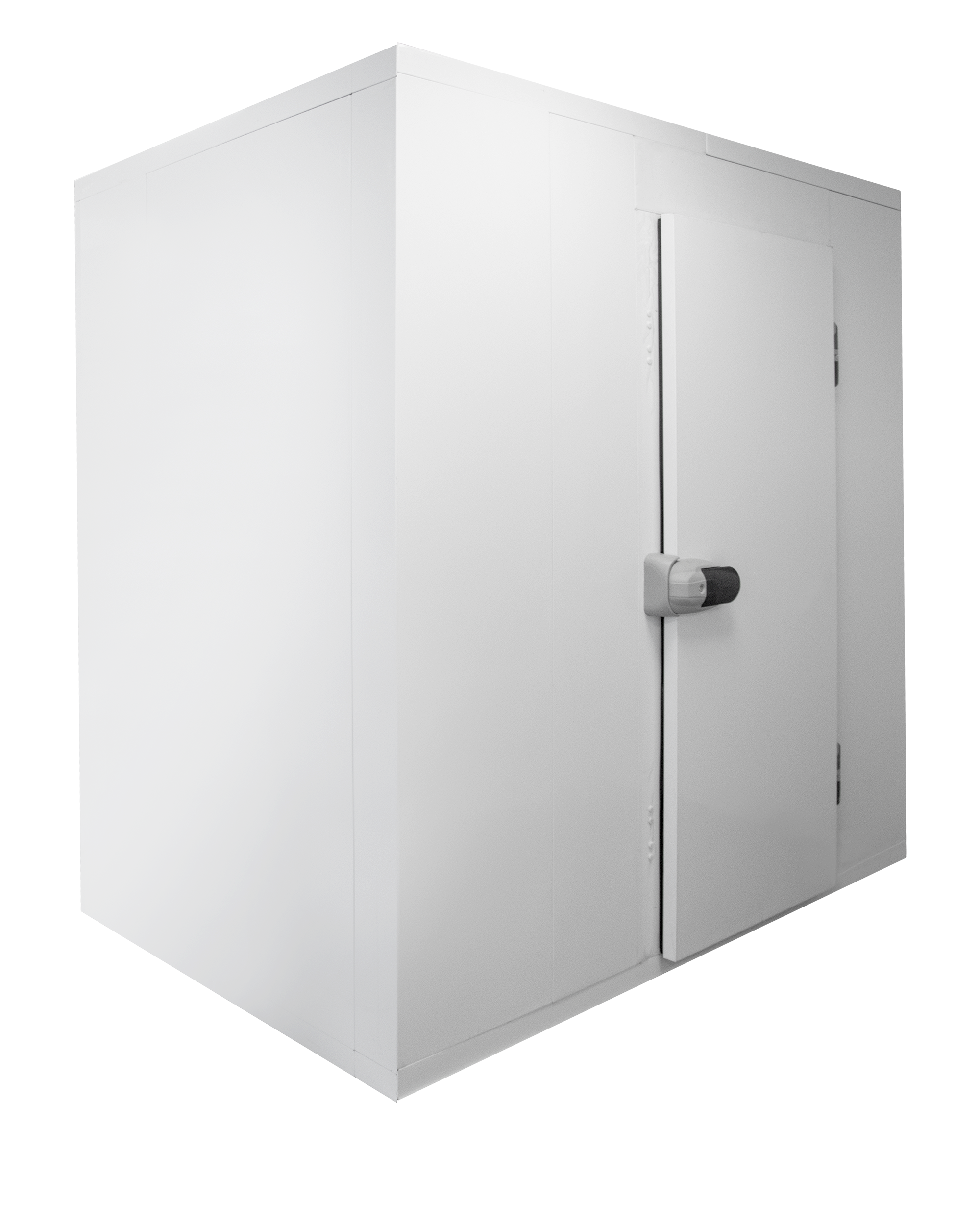 Panneaux de chambre froide 80 mm TEFCOLD-CR 150x270x212 NF