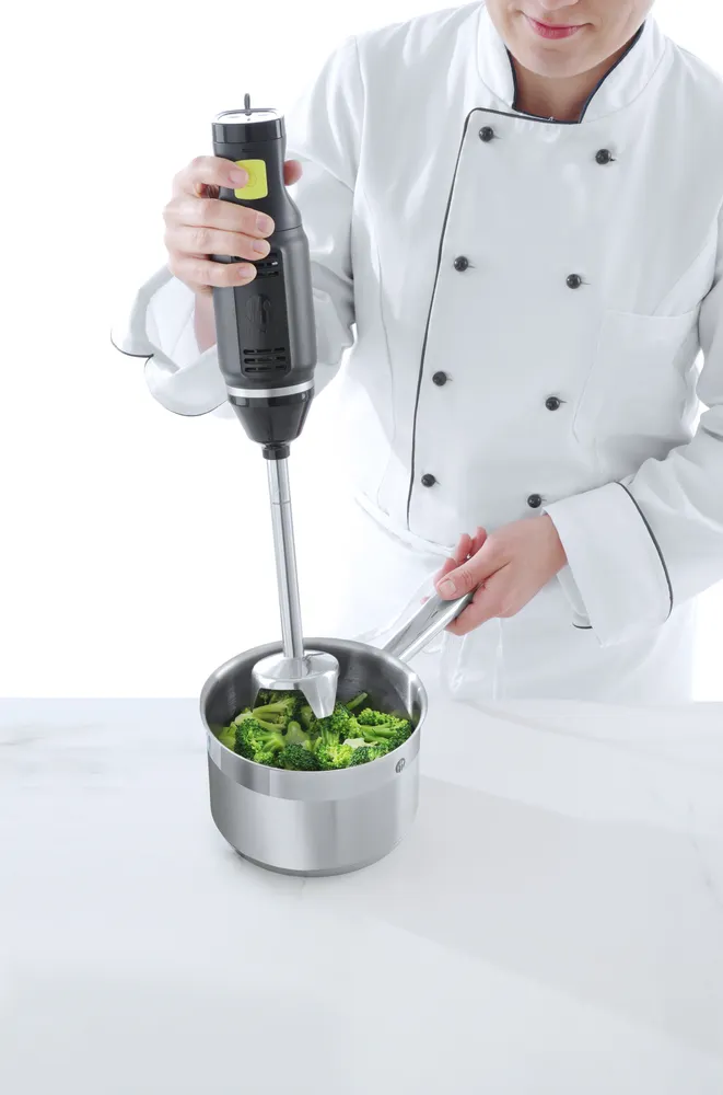 Mixeur plongeur HENDI BLEND HENDI 222157