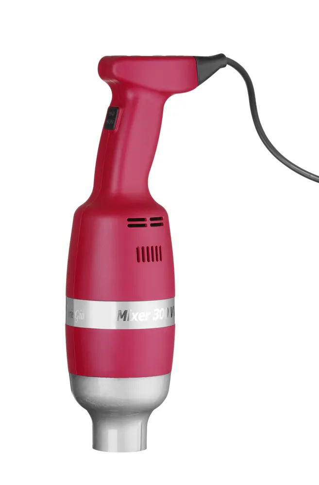 Mixeur plongeur Profi Line 300 - avec vitesse réglable HENDI 224335