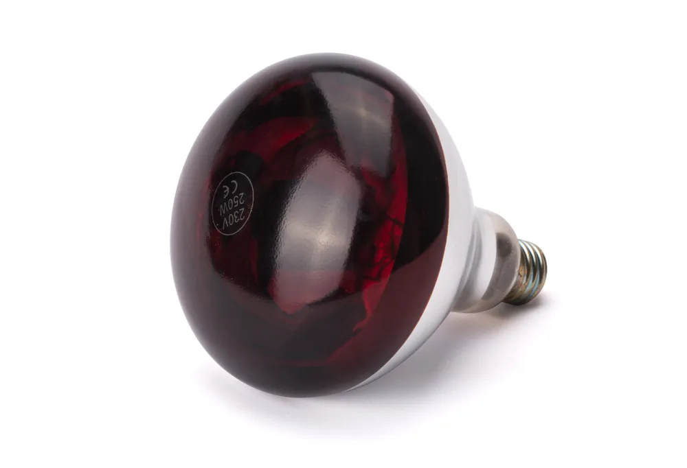 Ampoule infrarouge chauffante, HENDI, Rouge, 230V/250W, ⌀125x(H)170mm