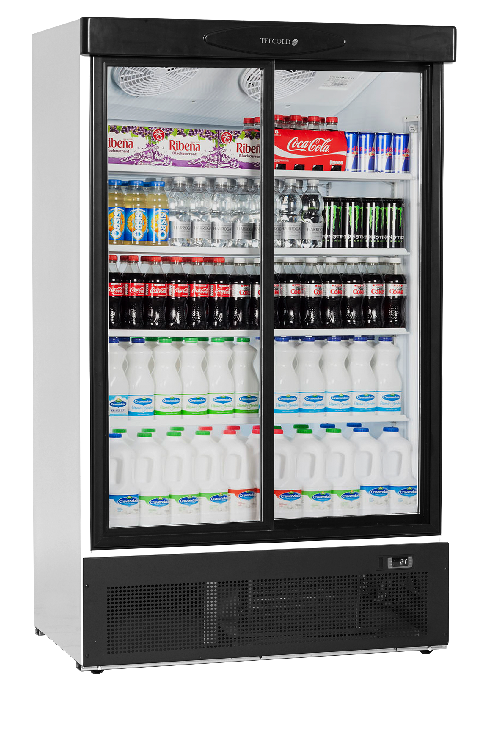 Refroidisseur de présentation TEFCOLD-FS1202S